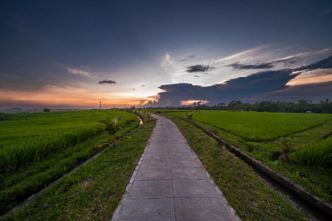 The Lebak Canggu 외부 사진